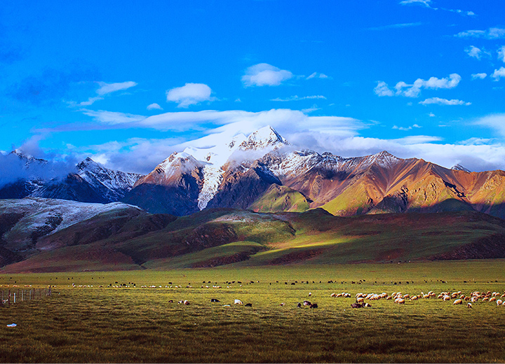 һ��һ��Ҫȥһ�εĵط�����������